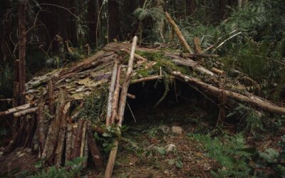 Wilderness Survival Shelters