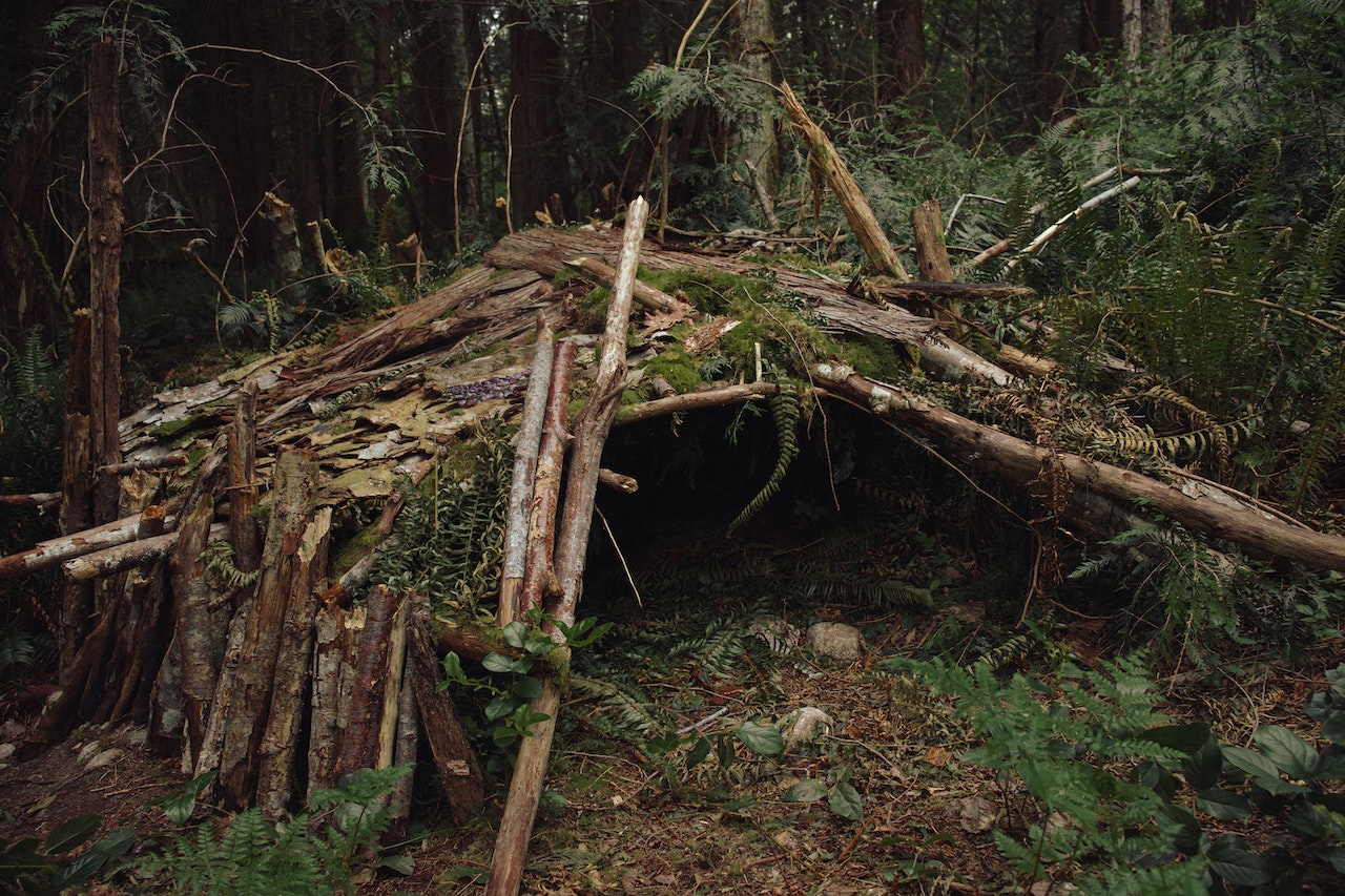 Wilderness Survival Shelters